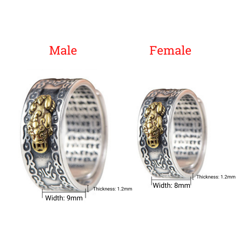 Eternal Wealth Guardian Ring - Feng Shui Pixiu & Mantra Armor