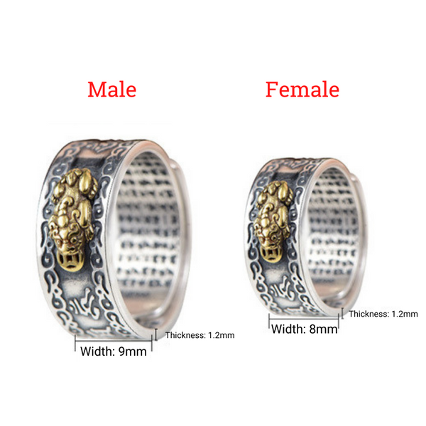 Eternal Wealth Guardian Ring - Feng Shui Pixiu & Mantra Armor